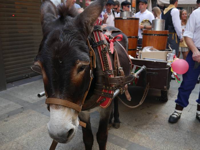 Ehunka lagun bildu dira Bera 134 1661377935246