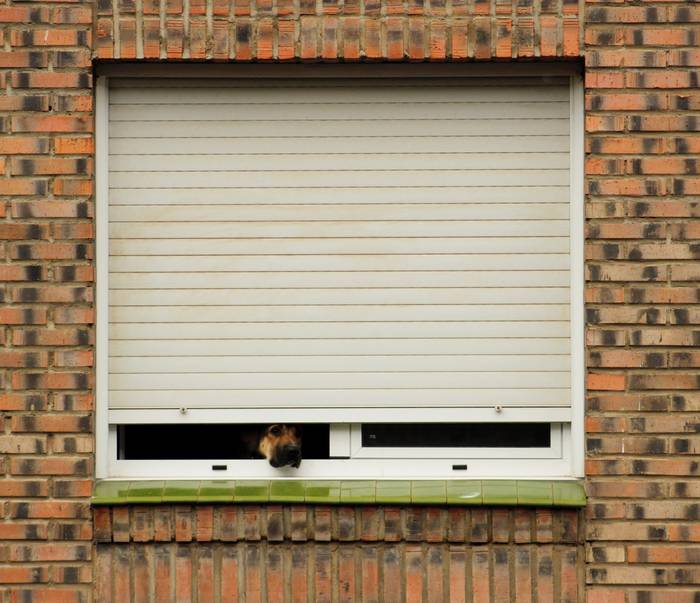 Larrazabal auzunean komunita 30 1588419645199