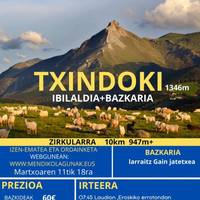 Txindokira mendi irteera