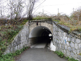 Semaforo berri batek trafikoa erregulatuko du Agua Salada auzoko tunelean