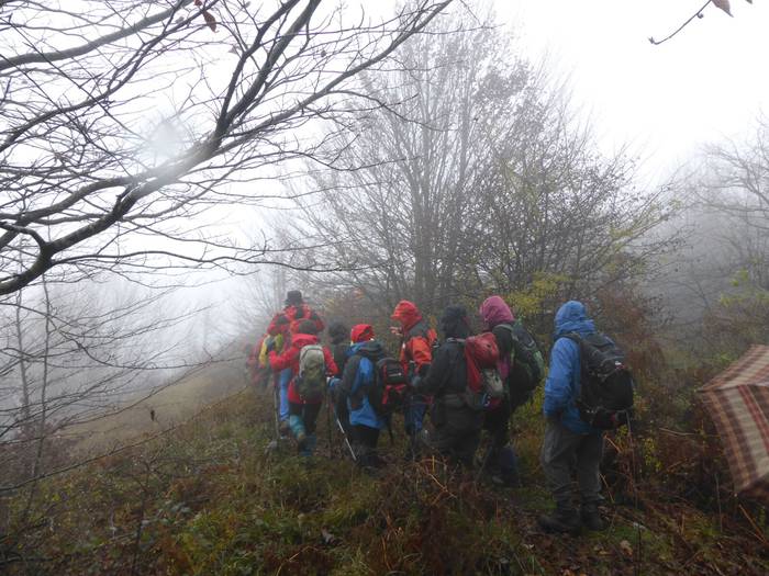 Laino artetik Santa Elena me 17 1511892564536