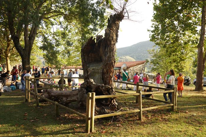 Arteko Gure Aman elkartu eta 9 1757796256075