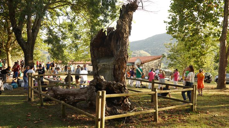 Artziniegako Udalak zenbait jarraibide zabaldu ditu irailaren 12ko Arteko landako bazkarirako