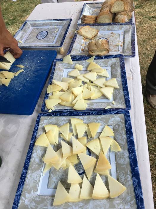 Castellersek, bertsolariek,  46 1503689660722