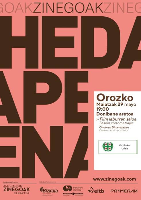 Zinegoak jaialdiko filmen proiekzioa