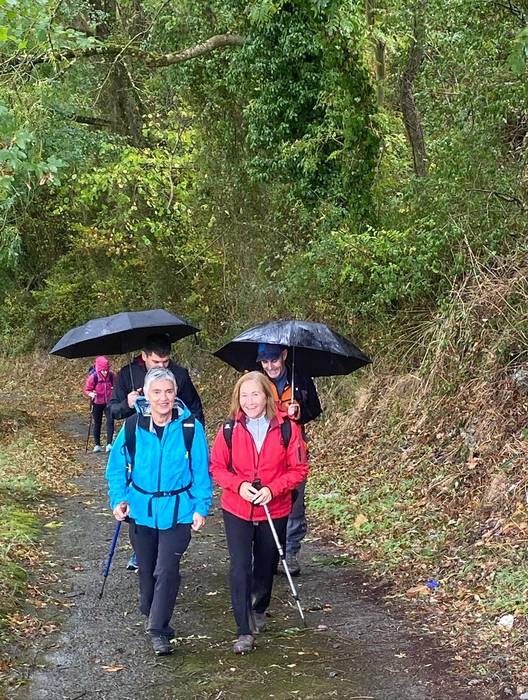 Lezamako mendi ibilaldiak 25 77 1761572552617