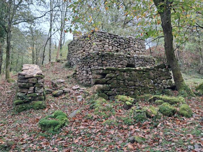 Supelaur Elkarteko zendutako 13 1761507450614