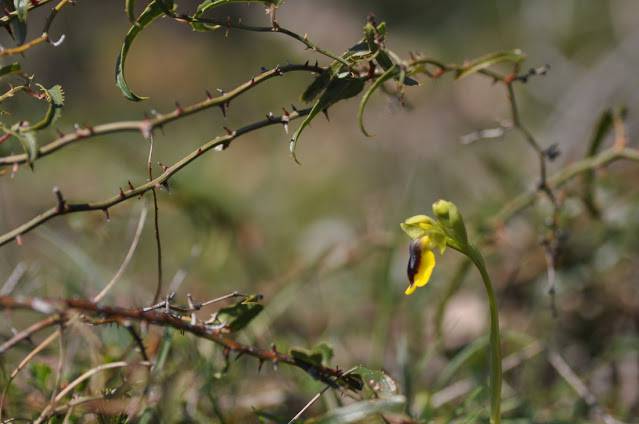 Itzultzeak 12 1619015040481