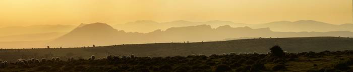 Gorobelen bukatu dituzte gra 6 1503657534443