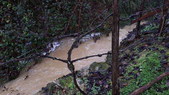 Uholdeak eragin dituzte euri 11 1548343113073