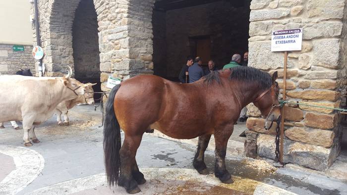 Landa mundua herrigunera jai 9 1510425320165