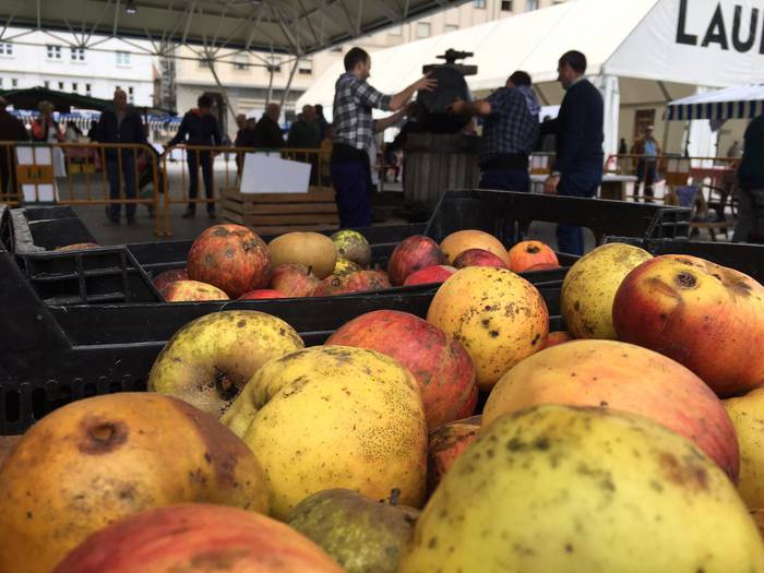 Laudioko Sagar Eguna 26 1509299820362