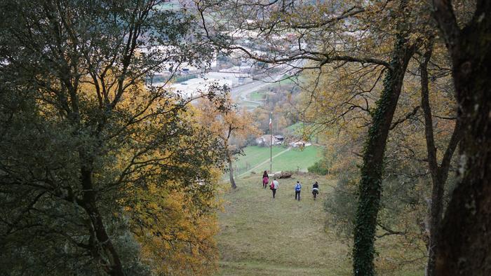 Omenaldiek bereziki hunkigar 65 1765403006452