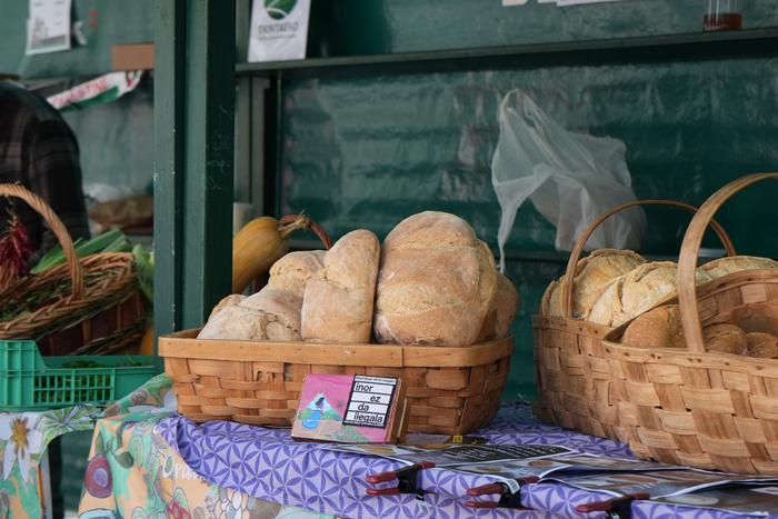 Agroekologiaren esparruan eg 20 1777118480474