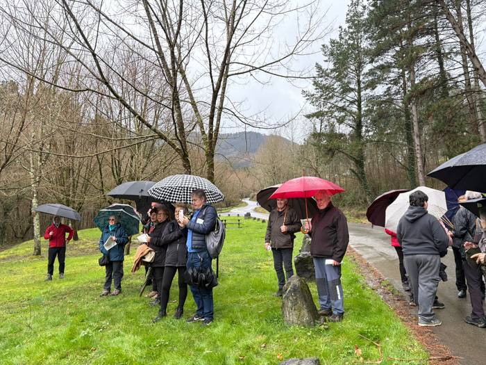 Gernikako zuhaitzaren kimua  26 1770844236190