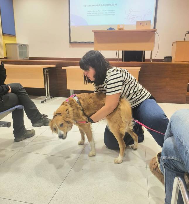 Txakurren lehen sorospenen t 1 1770929053189