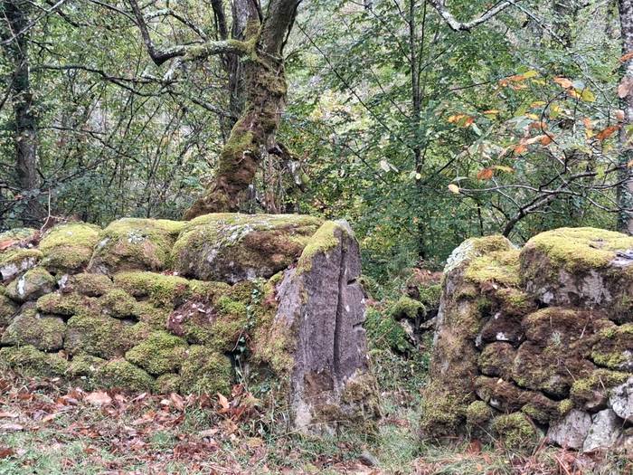 Supelaur Elkarteko zendutako 6 1761507441724