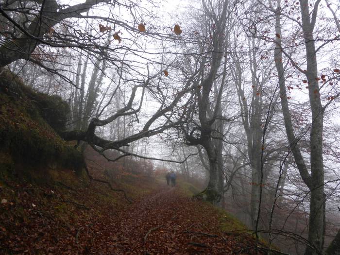 Laino artetik Santa Elena me 3 1511892461186