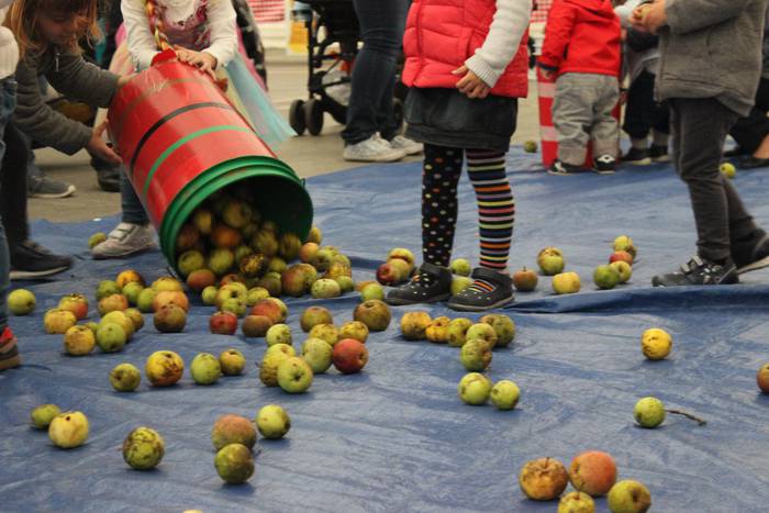 Laudioko Sagar Eguna 7 1509299515997