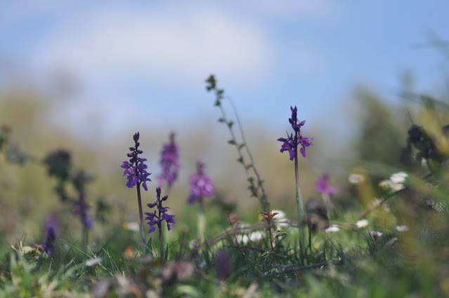 Itzultzeak 11 1619015040303