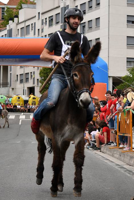 Aretako Jaiak gaur bukatuko  7 1501140641317