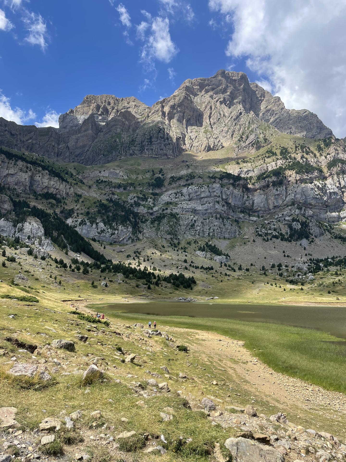Pirineoak