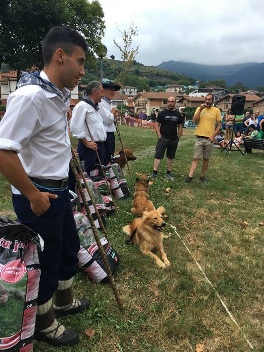 Castellersek, bertsolariek,  48 1503689706676