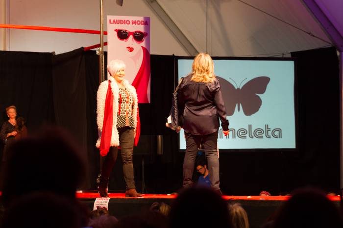 Laudioarrak izan ziren model 195 1508743950522