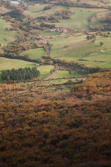 Gorobel Ibilaldiak ehuna men 41 1762257275833