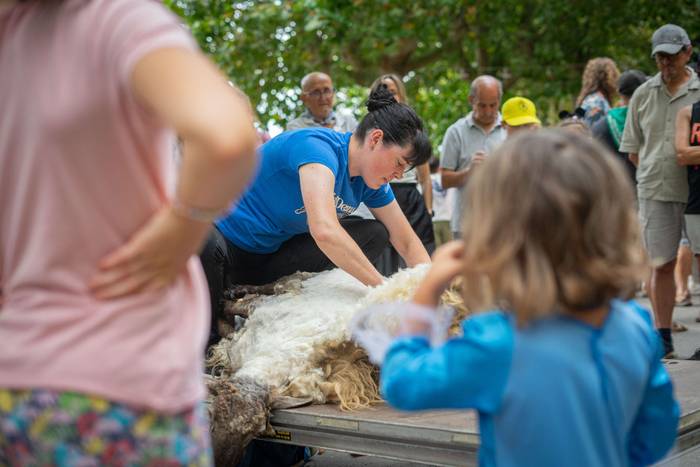 San Roke inguruan eman diete 29 1755434231204