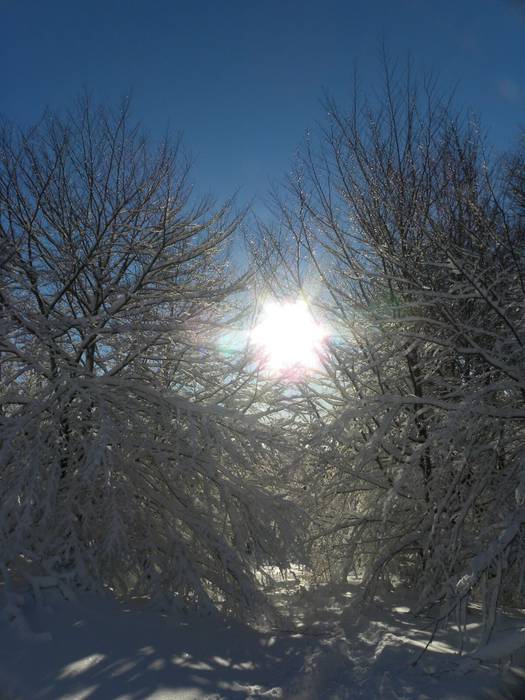 Edu Markinezen argazkiak 4 1513703384550