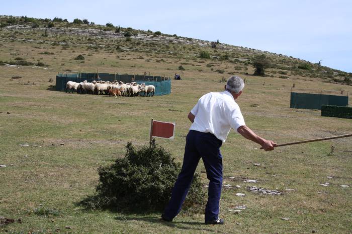 Sanbitoresak ospatzeko ehunk 62 1504510200058