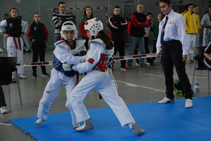 Zilarra eskuratu zuten laudi 2 1516989472470