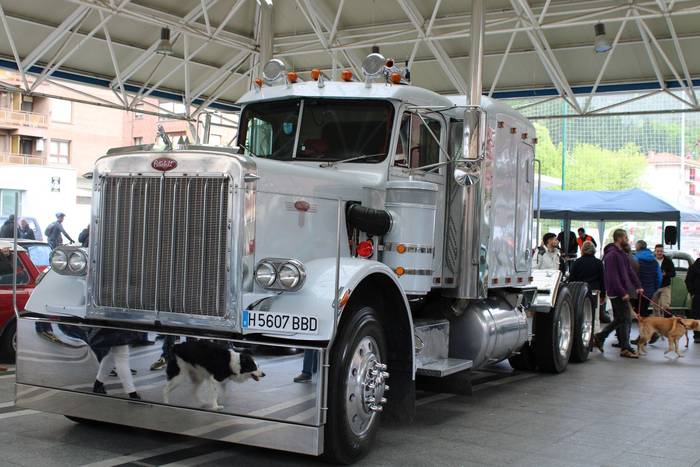 60 ibilgailu klasiko batu di 12 1776266008561