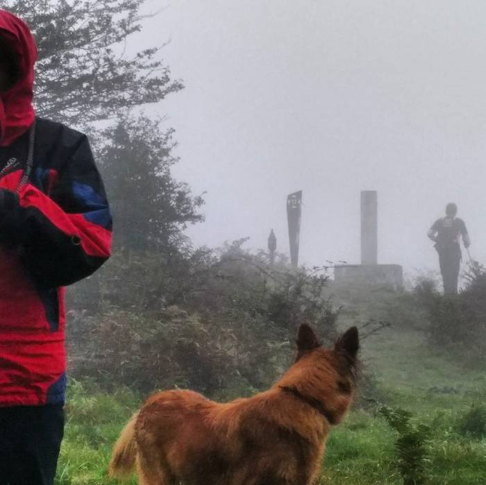 Positiboko baloratu dute Oko 8 1507154047165