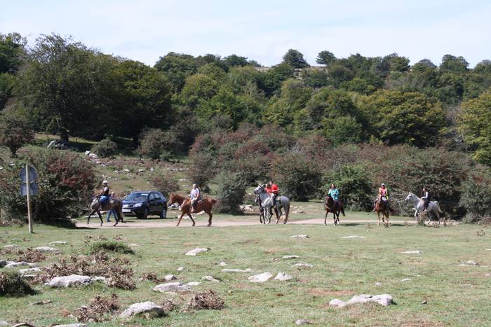 Sanbitoresak ospatzeko ehunk 33 1504509453912