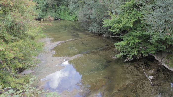 Nerbioi Ibaian hildako arrai 10 1505476486512