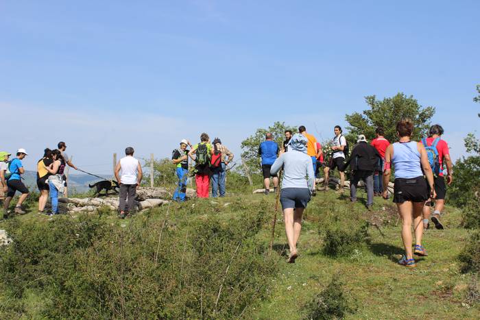 San Pedron gertatutako sarra 4 1495994089316