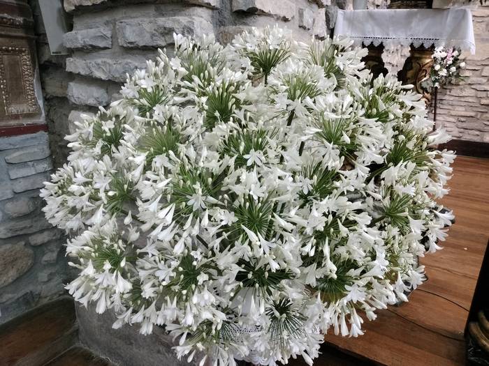 Zuhatzako jaietan ez zuten a 3 1753089453275