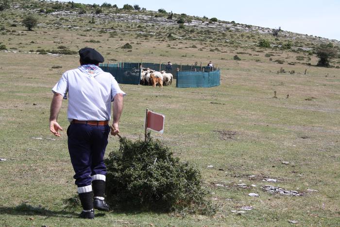 Sanbitoresak ospatzeko ehunk 63 1504510233668