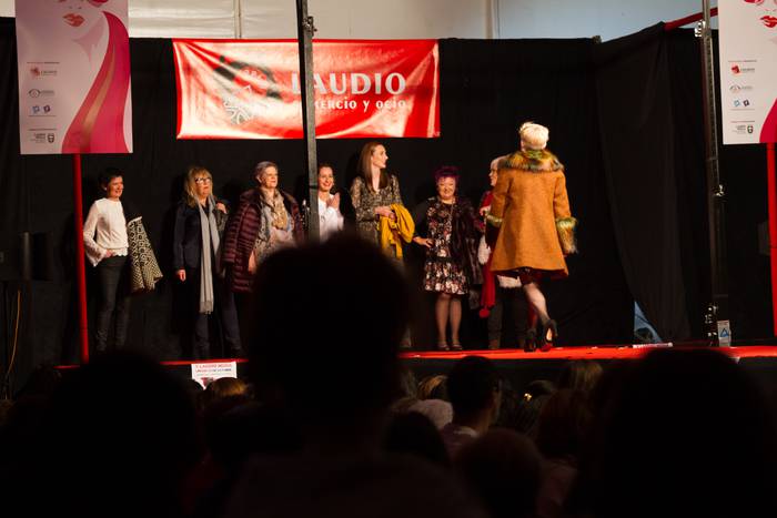 Laudioarrak izan ziren model 176 1508743706198