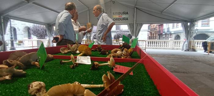 Ziza garaia iritsi da Urduña 14 1760971497317