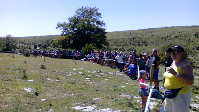 Artzainak izan ziren nagusi  58 1535893501857