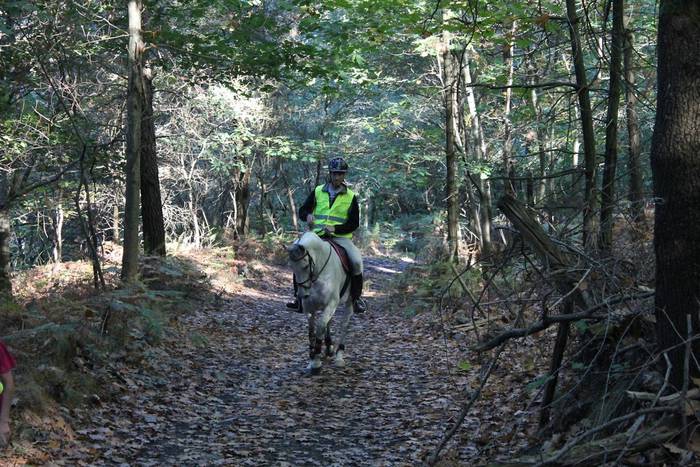 Arrankudiaga-Zolloko Trailar 14 1508411668598