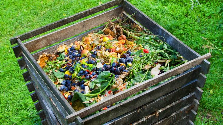 Aiaraldeko Kuadrillak etxeko konpostajea sustatzeko ikastaro eta jarduera berriak bultzatu ditu