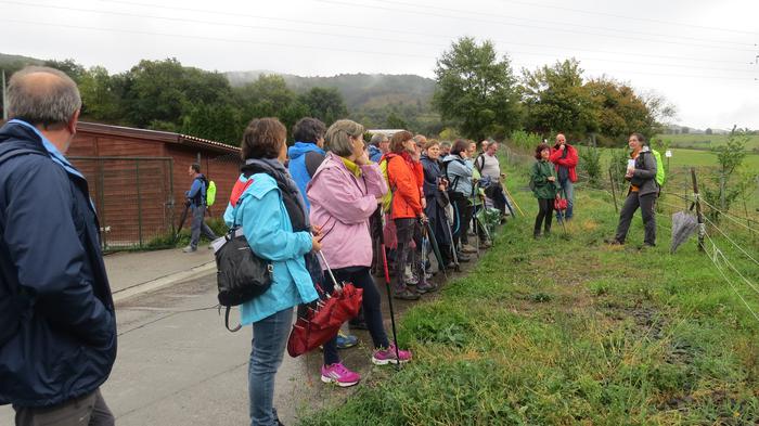 Herriko egitura geologikoa e 27 1508827342521