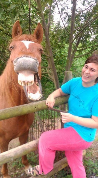 Ei, Pistolas! Hasi dantzatzen! 