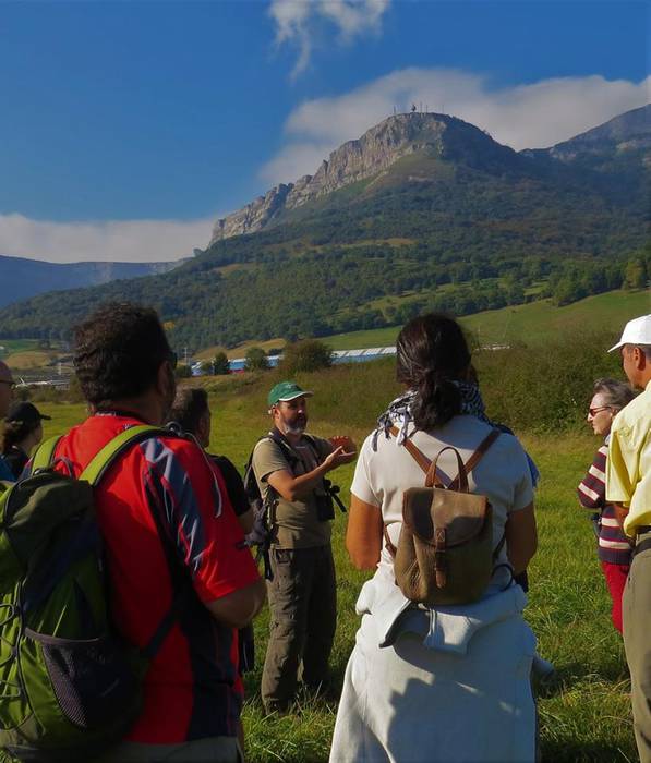 Hegaztiak ezagutzeko txangoa 3 1508074228176