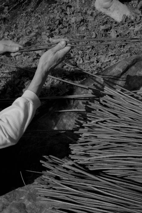 Basa zikloak lokatzetik Fakt 12 1777364238743