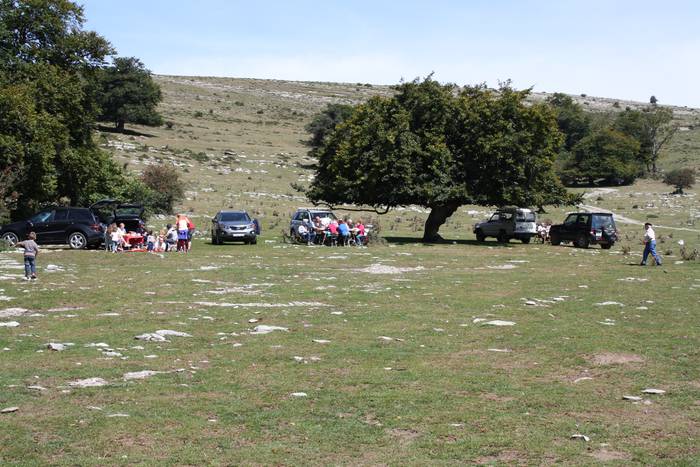 Sanbitoresak ospatzeko ehunk 99 1504511179672